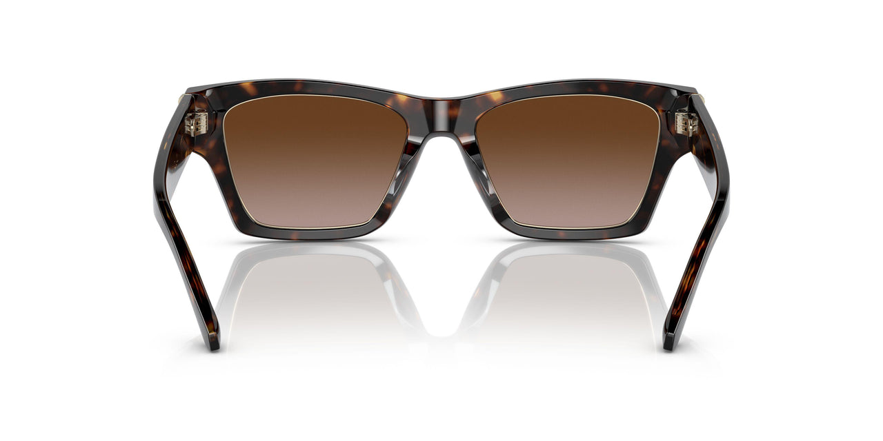172813 - Havana - Brown Gradient