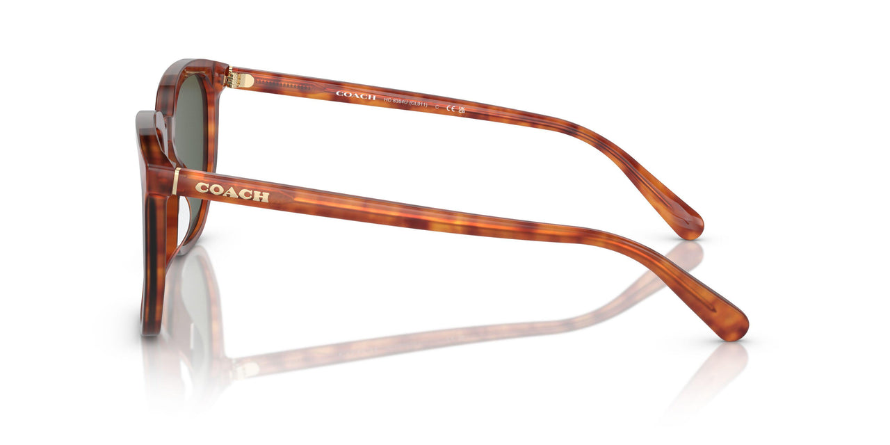 577482 - Tortoise - Green