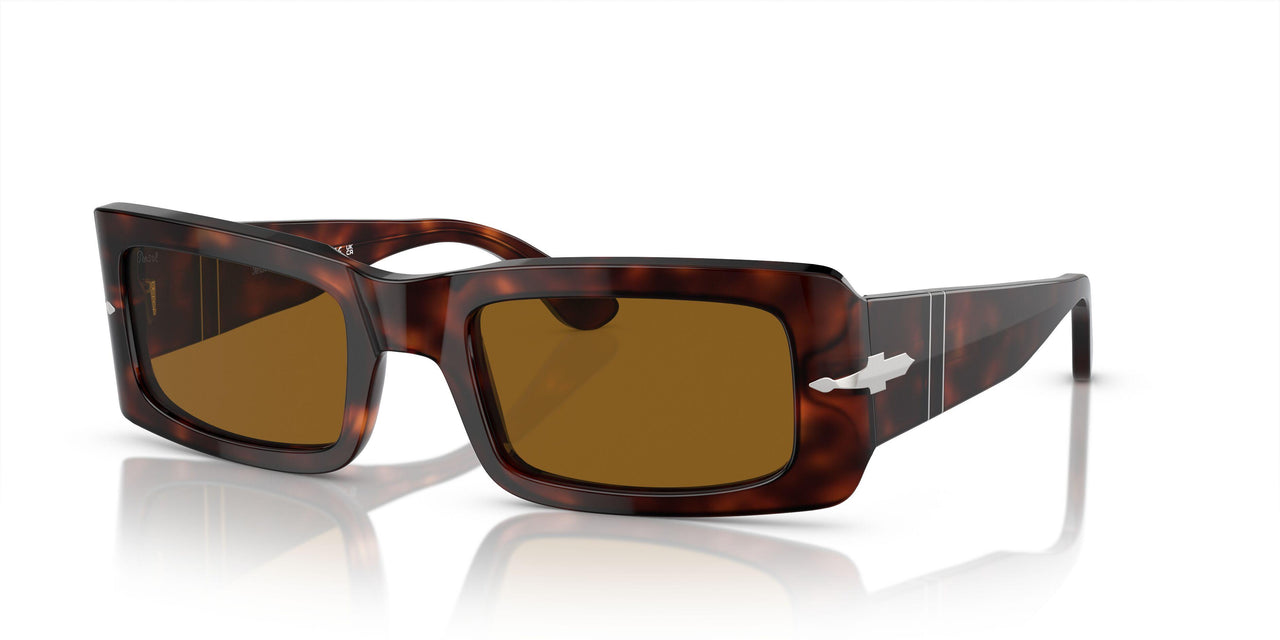24/33 - Tortoise - Brown