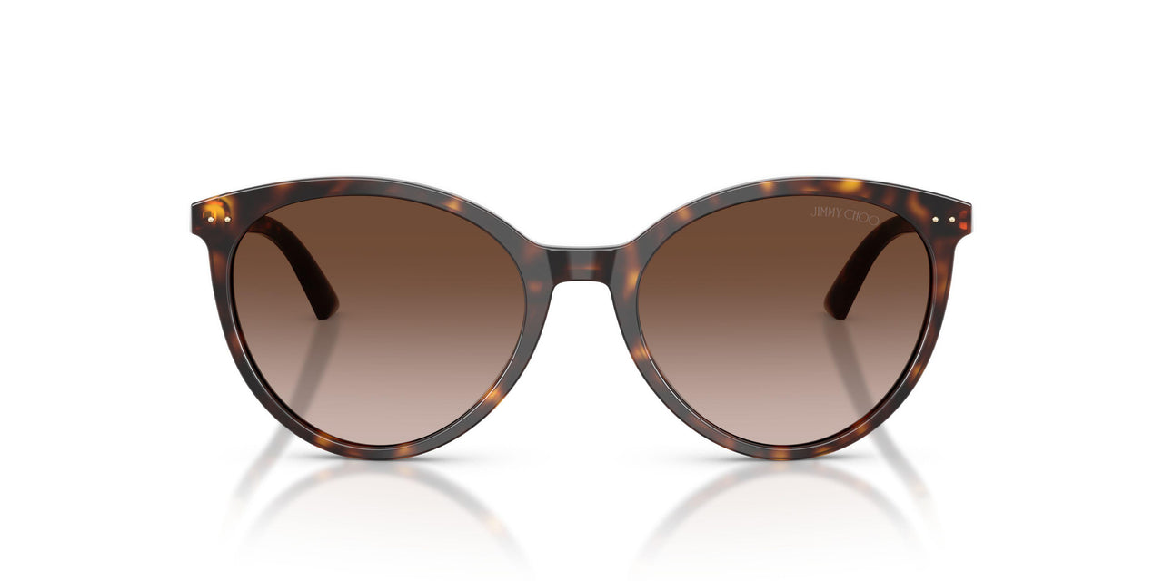 500213 - Tortoise - Gradient Brown