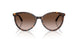 500213 - Tortoise - Gradient Brown