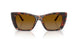 40319P - Tortoise - Brown Gradient Polar