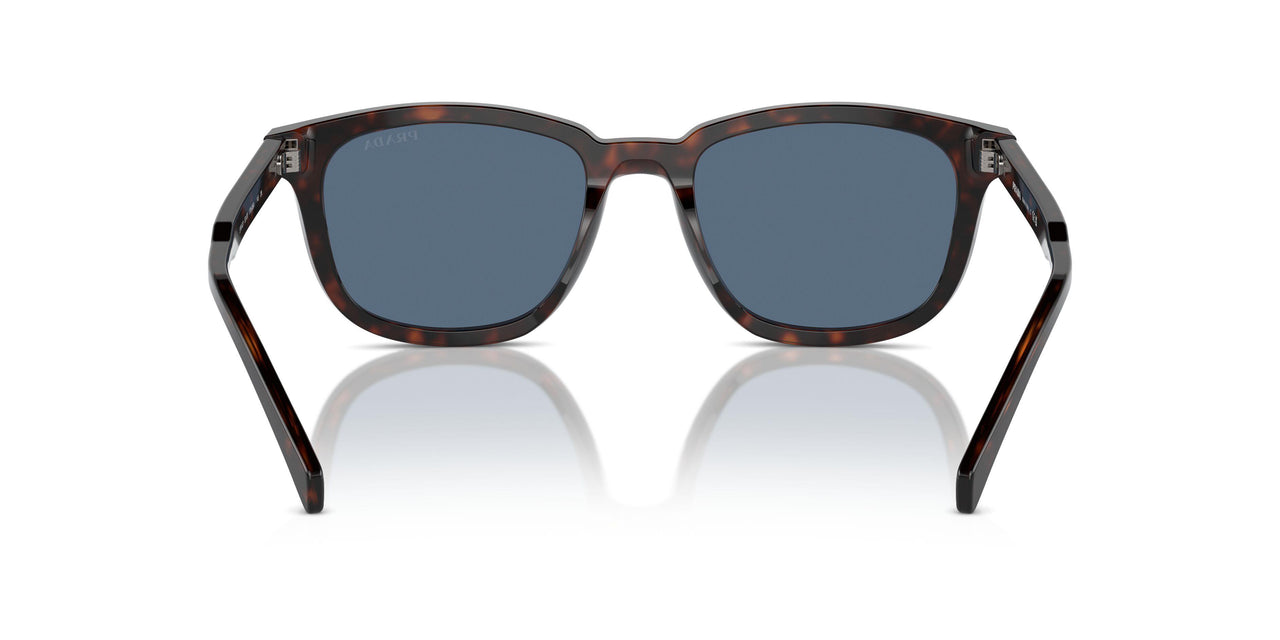 17N06A - Tortoise - Dark Blue