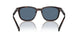 17N06A - Tortoise - Dark Blue