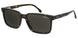 Carrera CFLEX10 Sunglasses
