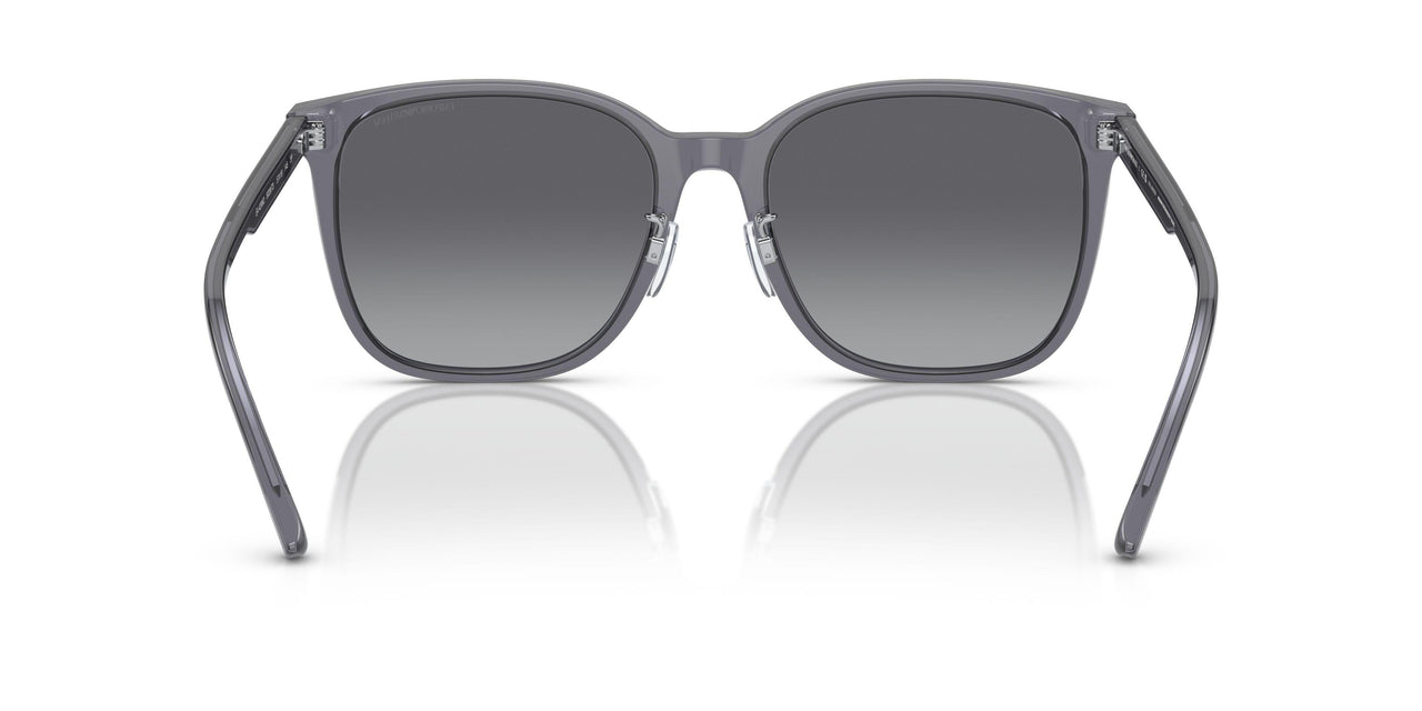 5029T3 - Grey - Polar Grey Gradient