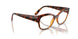 W656 - Brown