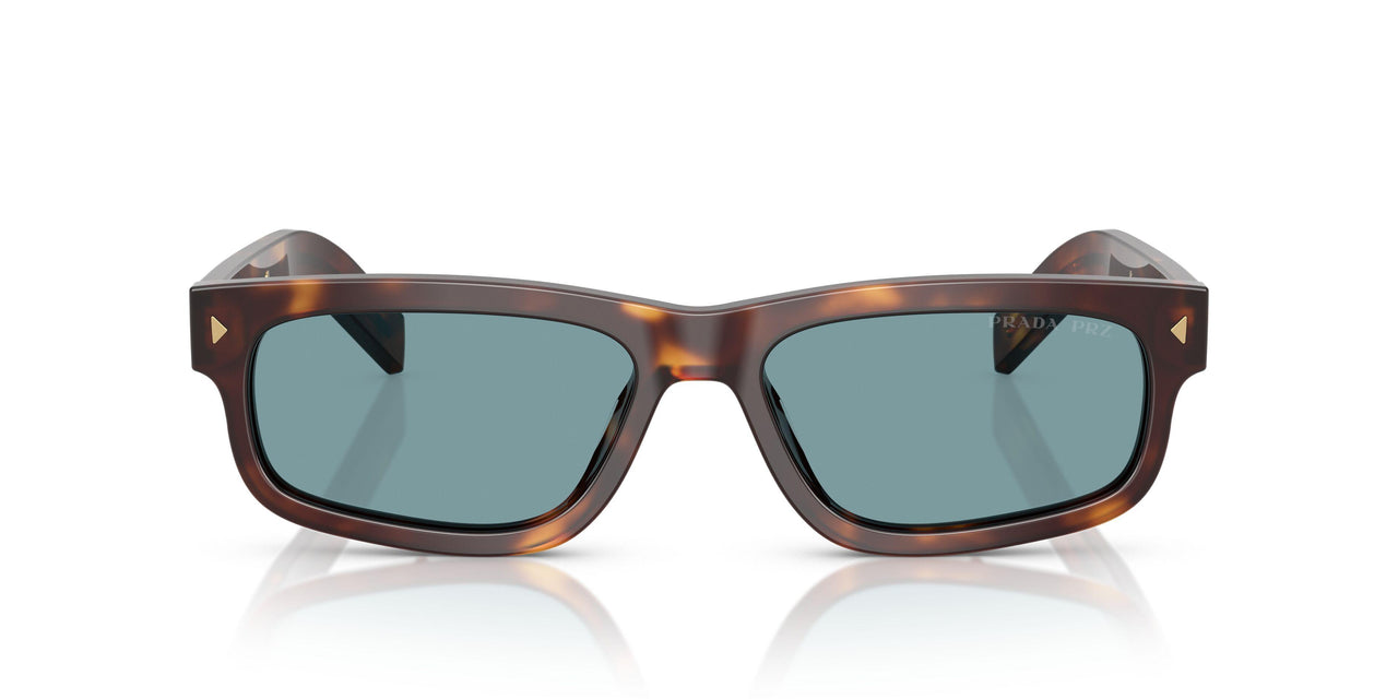 15W04D - Tortoise - Green Polar