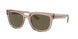Ray-Ban Phil 4426 Sunglasses