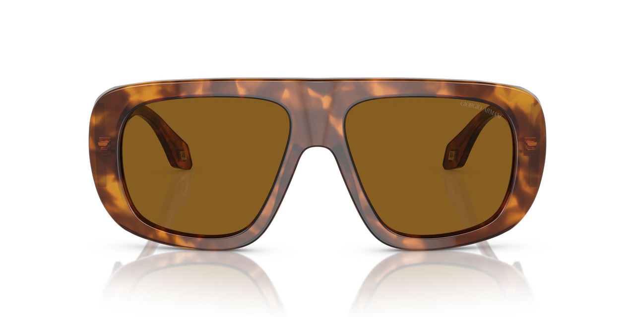 598833 - Red - Brown