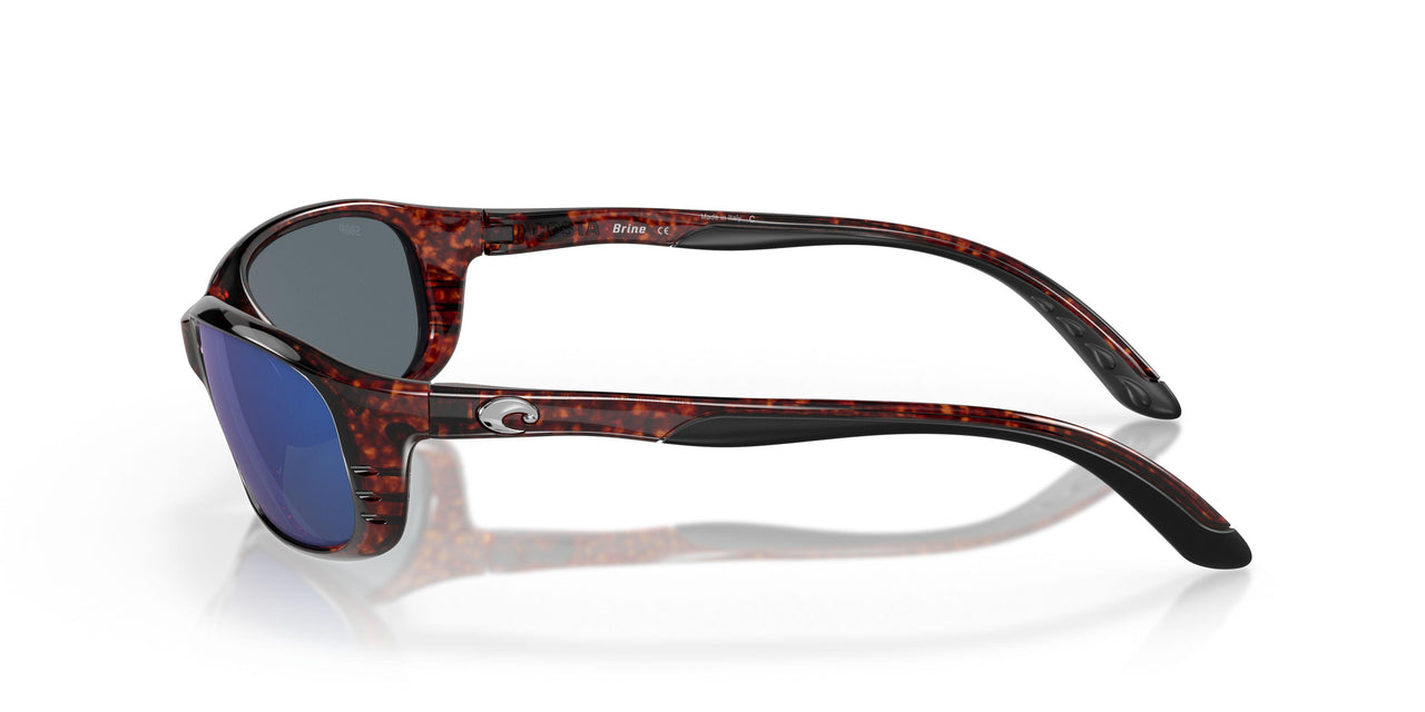 901705 - 10 Tortoise - Blue Mir 580p