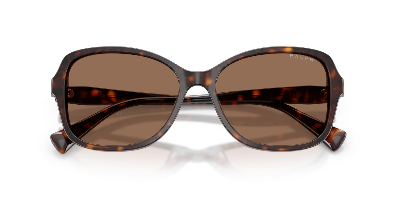 500373 - Tortoise - Brown