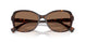 500373 - Tortoise - Brown
