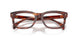 3034 - Tortoise