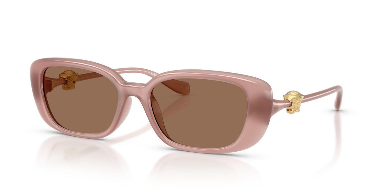 553573 - Pink - Dark Brown