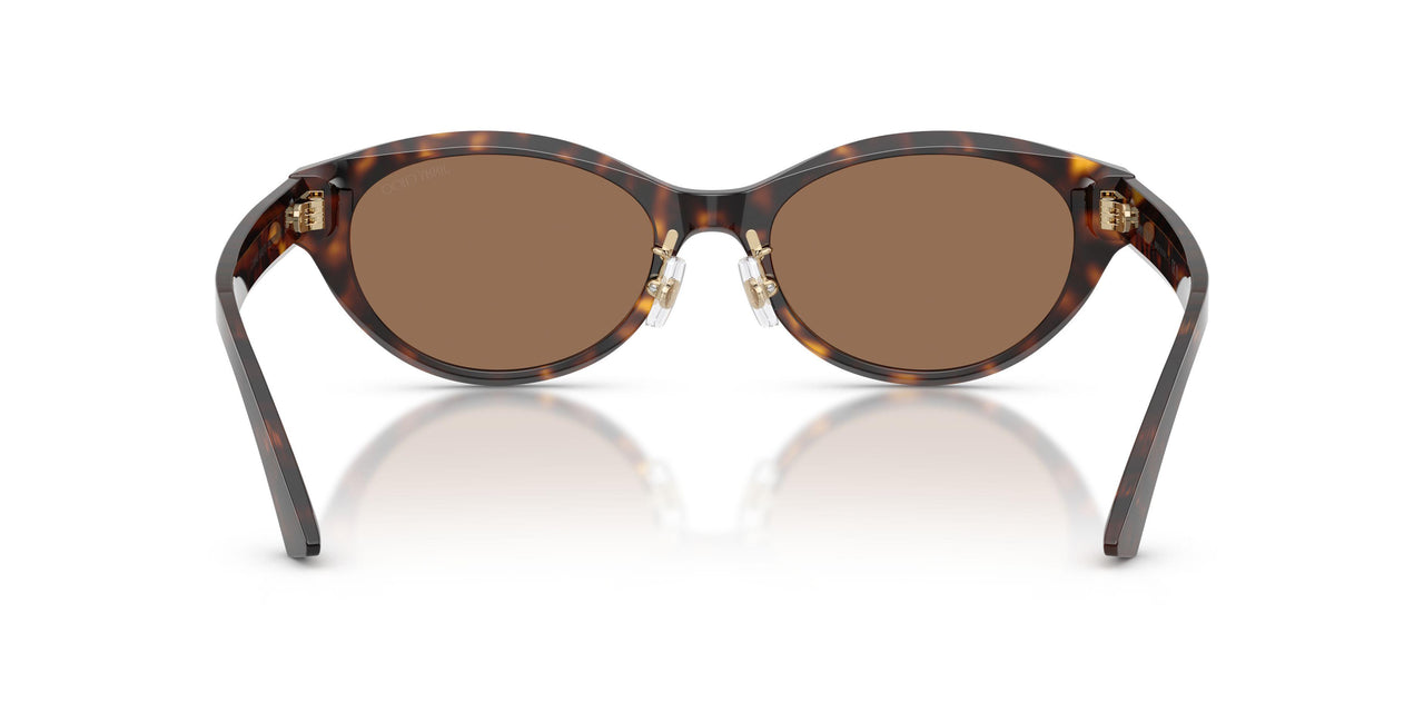 500273 - Tortoise - Dark Brown