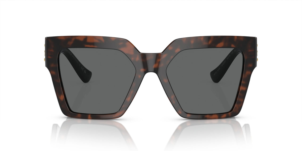 542987 - Tortoise - Dark Grey
