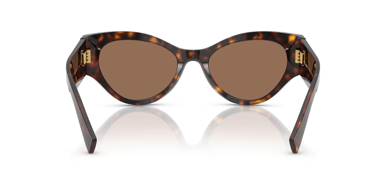 502/73 - Tortoise - Dark Brown