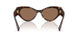 502/73 - Tortoise - Dark Brown