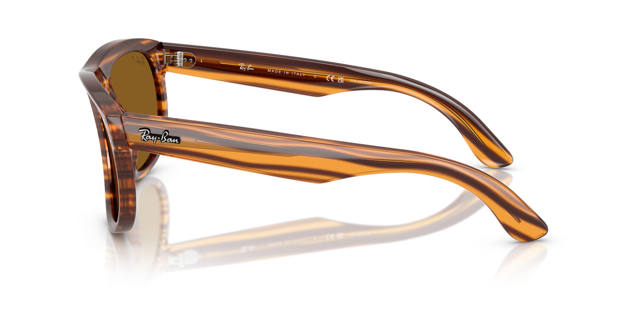 679183 - Brown - Polar Dark Brown