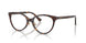 5002 - Tortoise