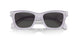 22G08Z - Transparent - Dark Grey