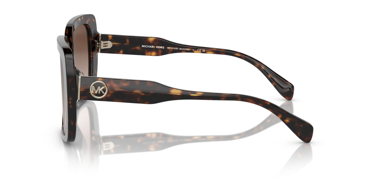 300613 - Tortoise - Brown Gradient