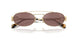 ZVN70D - Gold - Brown Silver