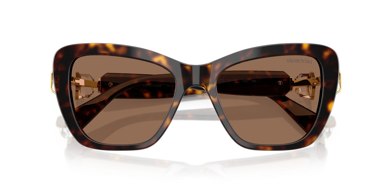 100273 - Tortoise - Dark Brown