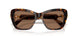 100273 - Tortoise - Dark Brown