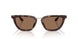 612473 - Tortoise - Dark Brown