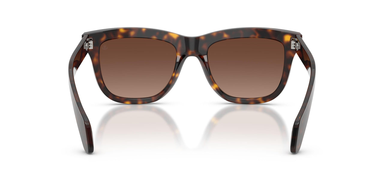 3002T5 - Tortoise - Light Brown
