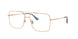 Ray-Ban Ari 3758V Eyeglasses