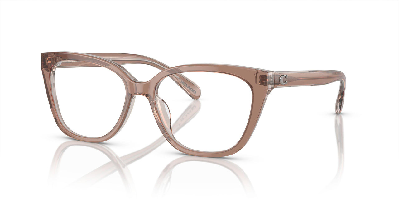 5779 - Brown