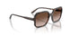 238613 - Brown - Gradient Brown