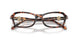 4031 - Tortoise