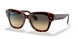 1324BG - Havana - Brown Vintage