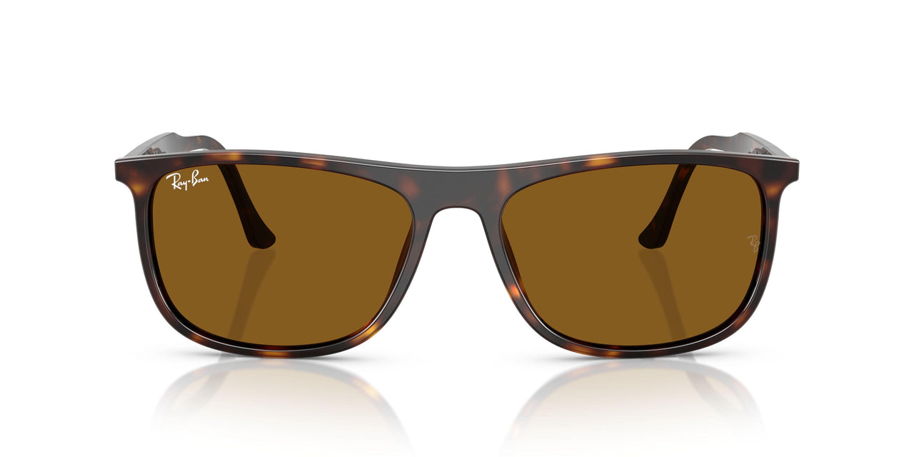 902/33 - Tortoise - Brown