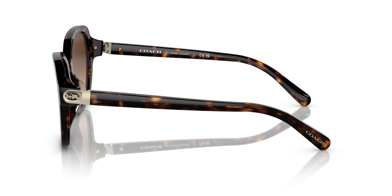 512074 - Havana - Brown Gradient