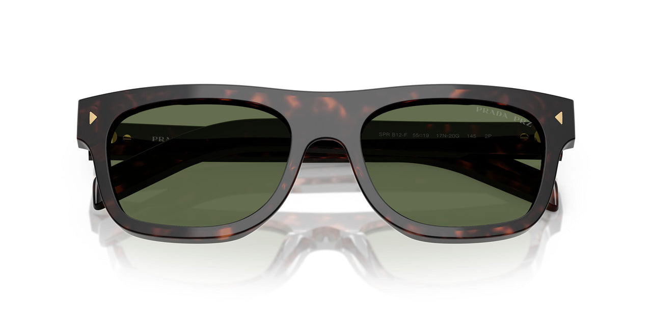 17N20G - Tortoise - Polar Green