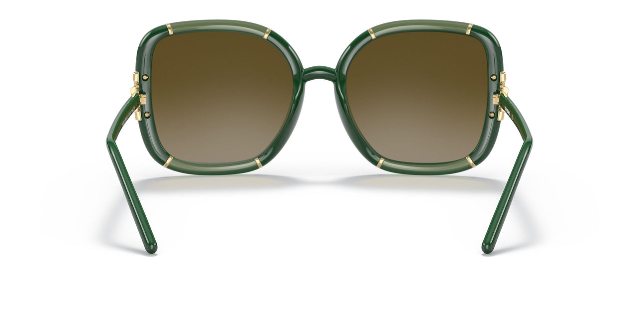 189713 - Green - Olive Gradient