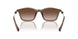 834913 - Brown - Gradient Brown