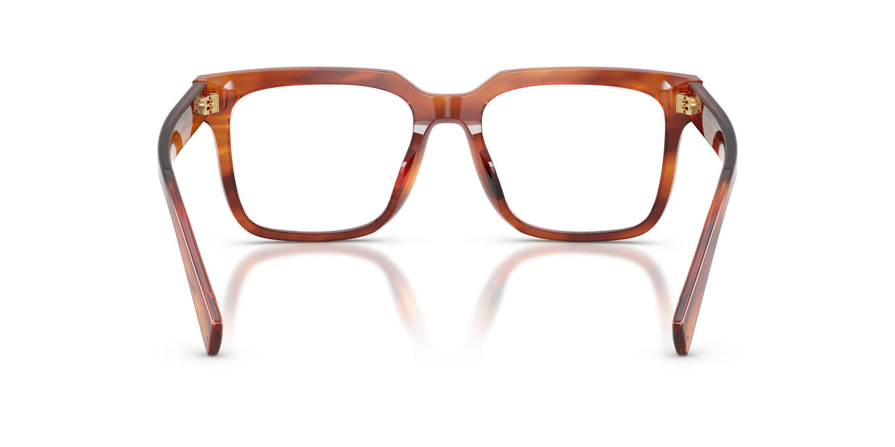3221 - Brown