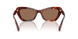 593873 - Tortoise - Brown Solid