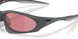 953908 - Grey - Prizm Dark Golf