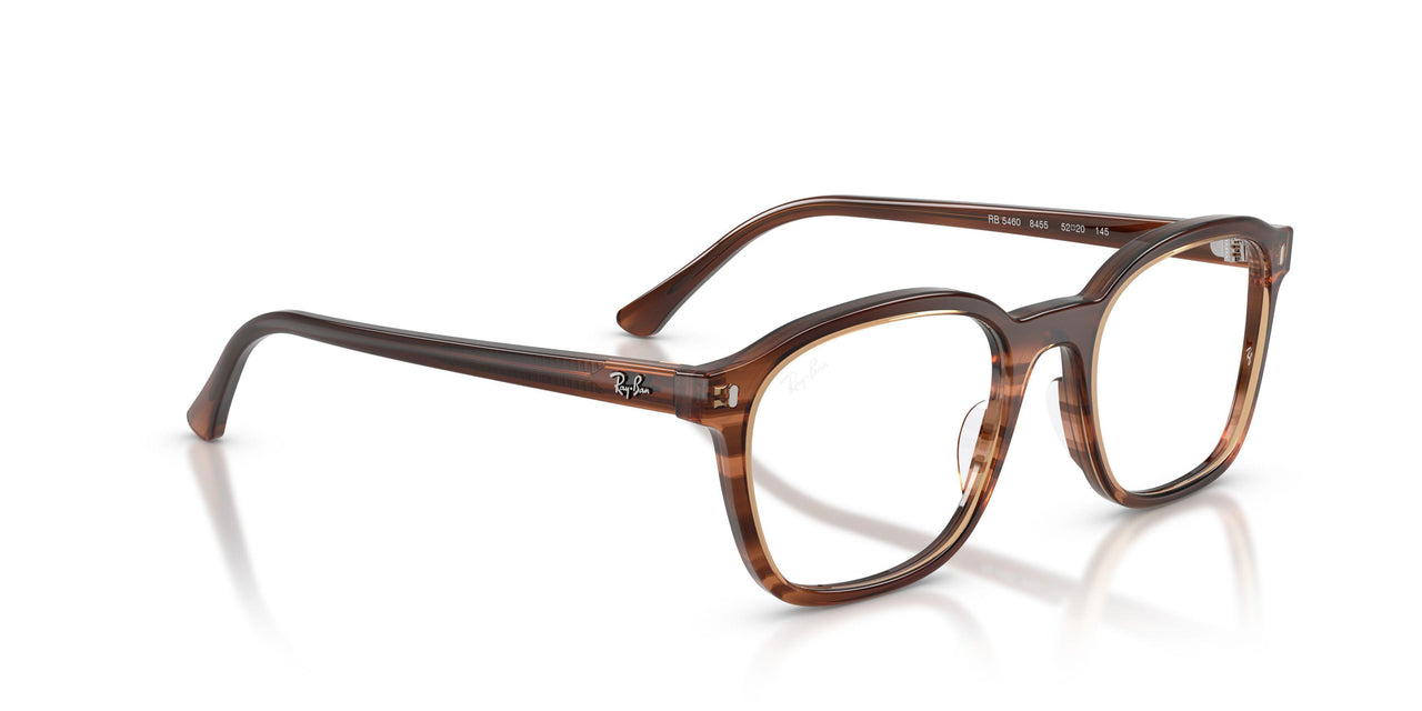 8455 - Tortoise