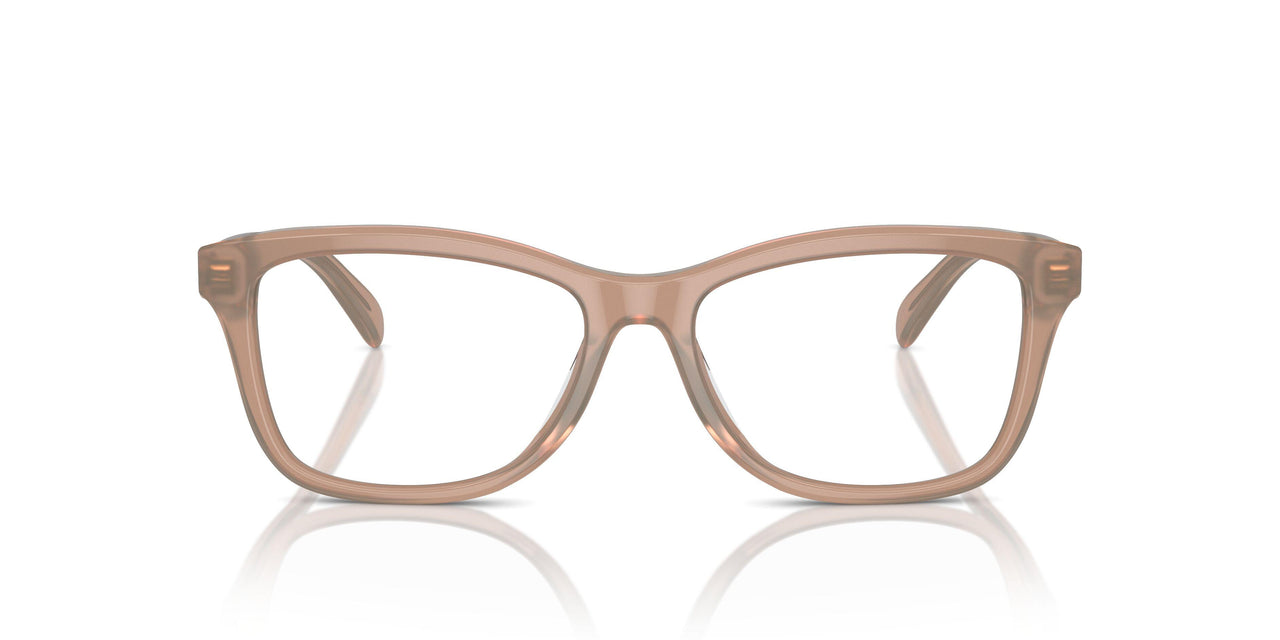 5808 - Brown