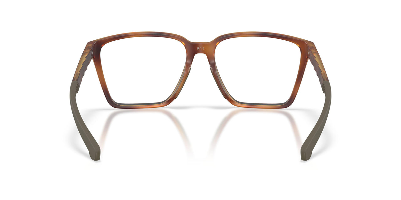 803102 - Tortoise
