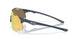 951306 - Blue - Prizm 24k