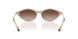 836613 - Brown - Gradient Brown